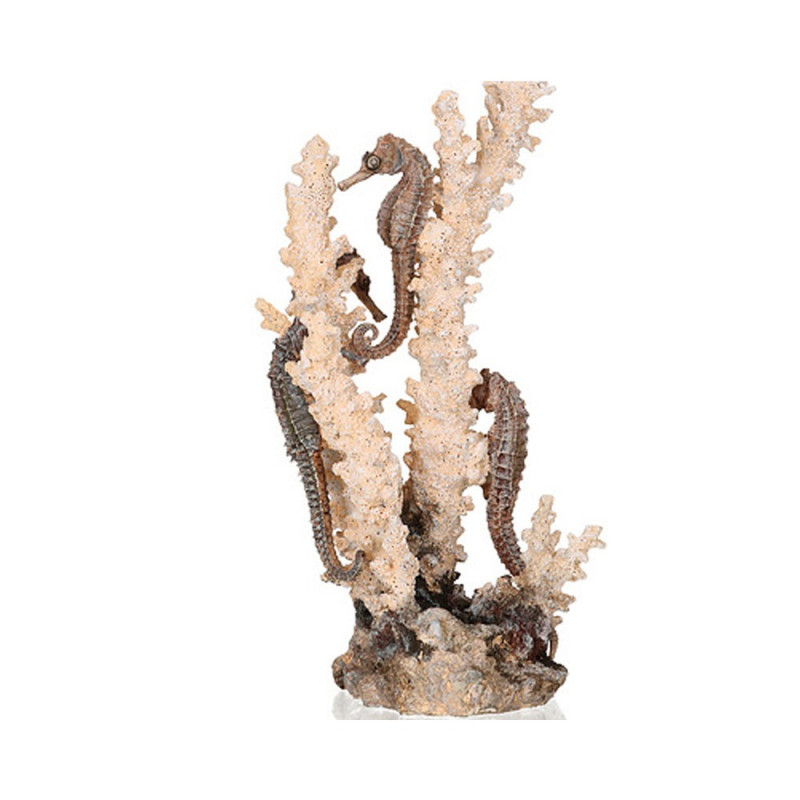 OASE 55039 biOrb Seepferdchen natur M