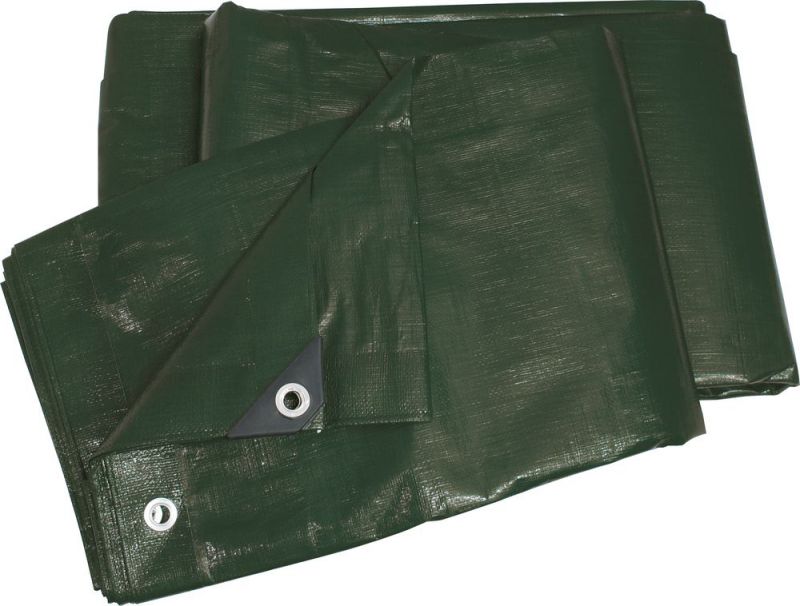 TRIUSO Bâche de protection (2 x 3 m ) - ADP23100
