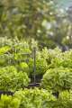 Gardena Tube prolongateur pour micro-asperseur