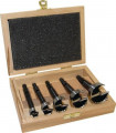 FISCH-TOOLS Forstnerbohrer-Satz (5-teilig / Ø 15, 20, 25, 30, 35 mm) - 03170005K