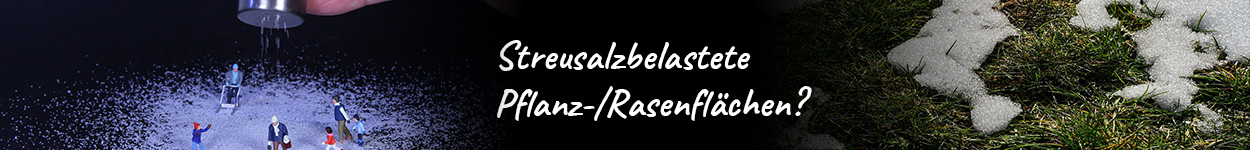 Neutralisation streusalzbelasteter Pflanz-/Rasenflächen mit Oscorna Bodenaktivator
