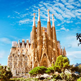 Private Sightseeing Tour