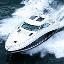 Powerboat & Speedboat Rides