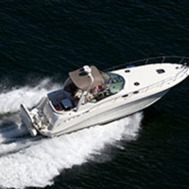 Speedboat Charter