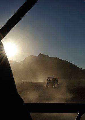 Buggy Safari
