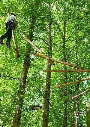 Buggies and High Ropes