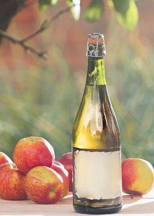 Cider Tasting