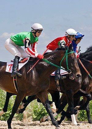 Horse Racing
