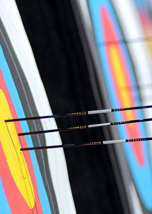 Air Rifles and Archery