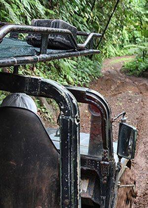 4x4 Safari