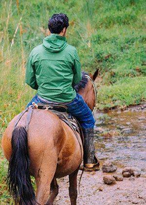 Horse Riding