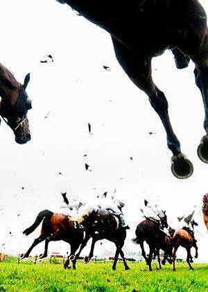 Grand National