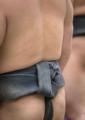 Zorb Sumo and Slingshots