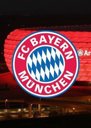 Bayern Munich Allianz Arena Tour