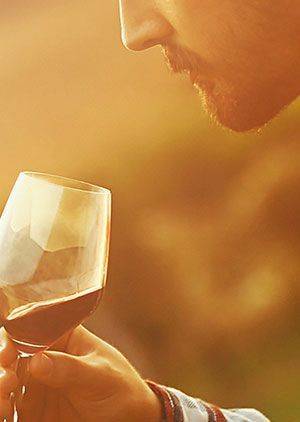 Wine and Dine