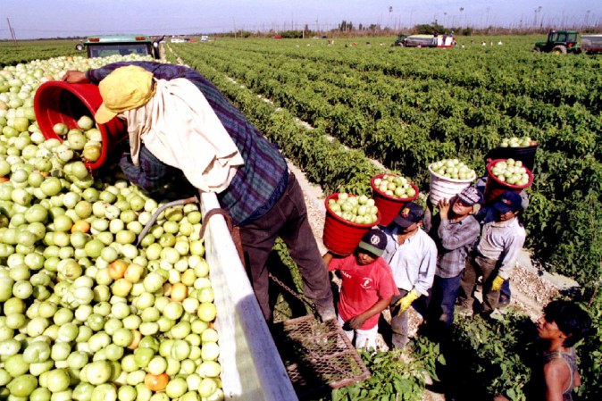 Lavoratori stranieri producono 127 miliardi di ricchezza in Italia Lavoratori stranieri producono 127 miliardi di ricchezza in Italia