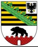 Truppenbild von Saalefront Truppenbild von Saalefront