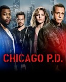 Truppenbild von ChicagoPD Truppenbild von ChicagoPD