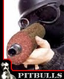 Benutzerbild von 5. Oberbefehlshaber Schlackwurst Benutzerbild von 5. Oberbefehlshaber Schlackwurst