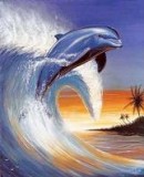 Benutzerbild von 5. Oberbefehlshaber Flipper Benutzerbild von 5. Oberbefehlshaber Flipper