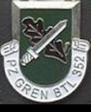 Truppenbild von PzGrenBtl352 Truppenbild von PzGrenBtl352