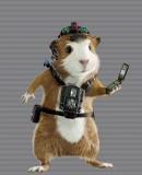 Benutzerbild von 5. Oberbefehlshaber Drea Benutzerbild von 5. Oberbefehlshaber Drea