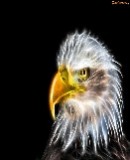 Truppenbild von Adler Truppenbild von Adler