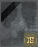 Benutzerbild von 5. Oberbefehlshaber VikingStorm Benutzerbild von 5. Oberbefehlshaber VikingStorm