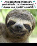Benutzerbild von 5. Oberbefehlshaber QUEEN Benutzerbild von 5. Oberbefehlshaber QUEEN