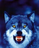 Truppenbild von Dogs_of_War Truppenbild von Dogs_of_War