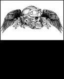 Benutzerbild von 7 Sterne General Christianpaul Benutzerbild von 7 Sterne General Christianpaul