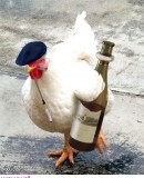 Benutzerbild von 5. Oberbefehlshaber klapki Benutzerbild von 5. Oberbefehlshaber klapki