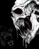 Benutzerbild von 5. Oberbefehlshaber elsterkiller Benutzerbild von 5. Oberbefehlshaber elsterkiller