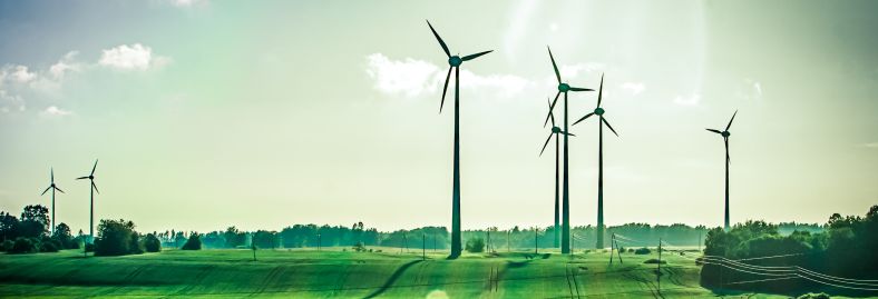 https://s3-eu-west-1.amazonaws.com/cdn.v2.primesenergie.fr/blog-travaux.primesenergie.fr/%C3%89conomies%20%C3%89nergie/Environnement%20/5eb40d1c64dad2.60519313