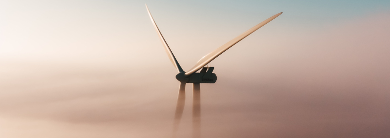 https://s3-eu-west-1.amazonaws.com/cdn.v2.primesenergie.fr/blog-travaux.primesenergie.fr/%C3%89conomies%20%C3%89nergie/Environnement%20/6128e045a5e889.05068262