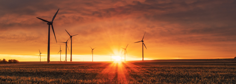 https://s3-eu-west-1.amazonaws.com/cdn.v2.primesenergie.fr/blog-travaux.primesenergie.fr/%C3%89conomies%20%C3%89nergie/Environnement%20/62752d43248af1.00813355