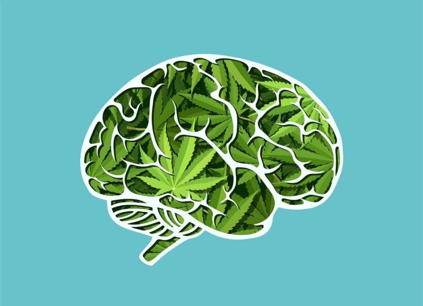 Andy Garland Therapies - Counselling Cardiff - Mental Health Services Cardiff - Cardiff Therapists - cannabis use and your mental health