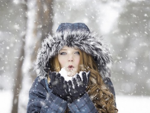 North East Landlords – Winter Proof Your Rental Property