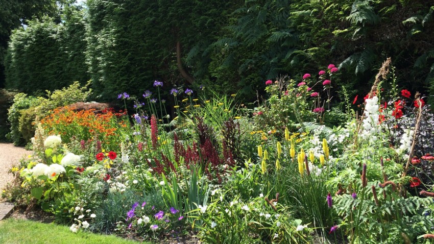 Garden development & planting