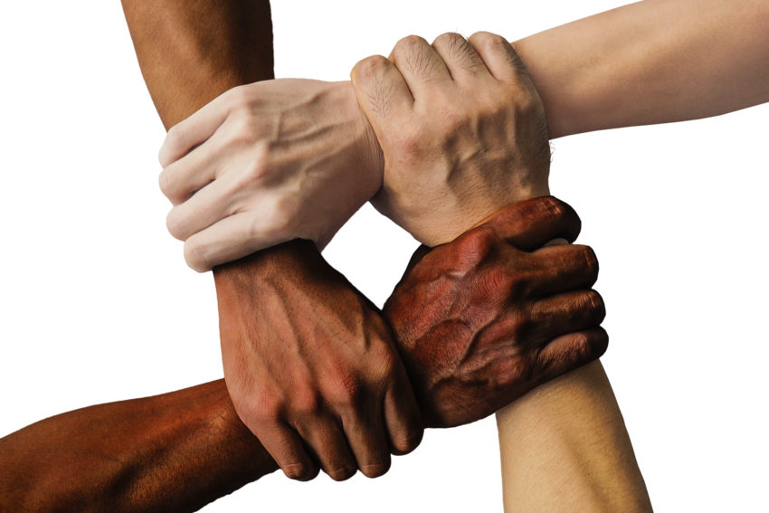 Our Promise