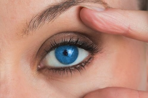 Contact Lenses