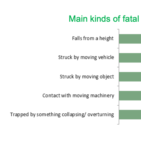 HSE Annual Workplace Fatality Figures