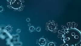 Coronavirus COVID-19