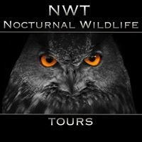 NWT Nocturnal Wildlife Tours