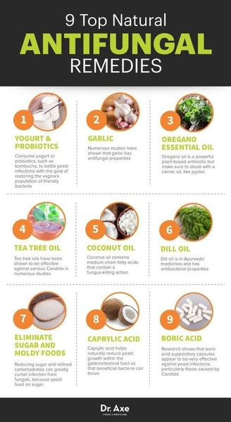 What is candida