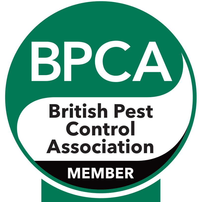BPCA-MEMBER-ENFIELD