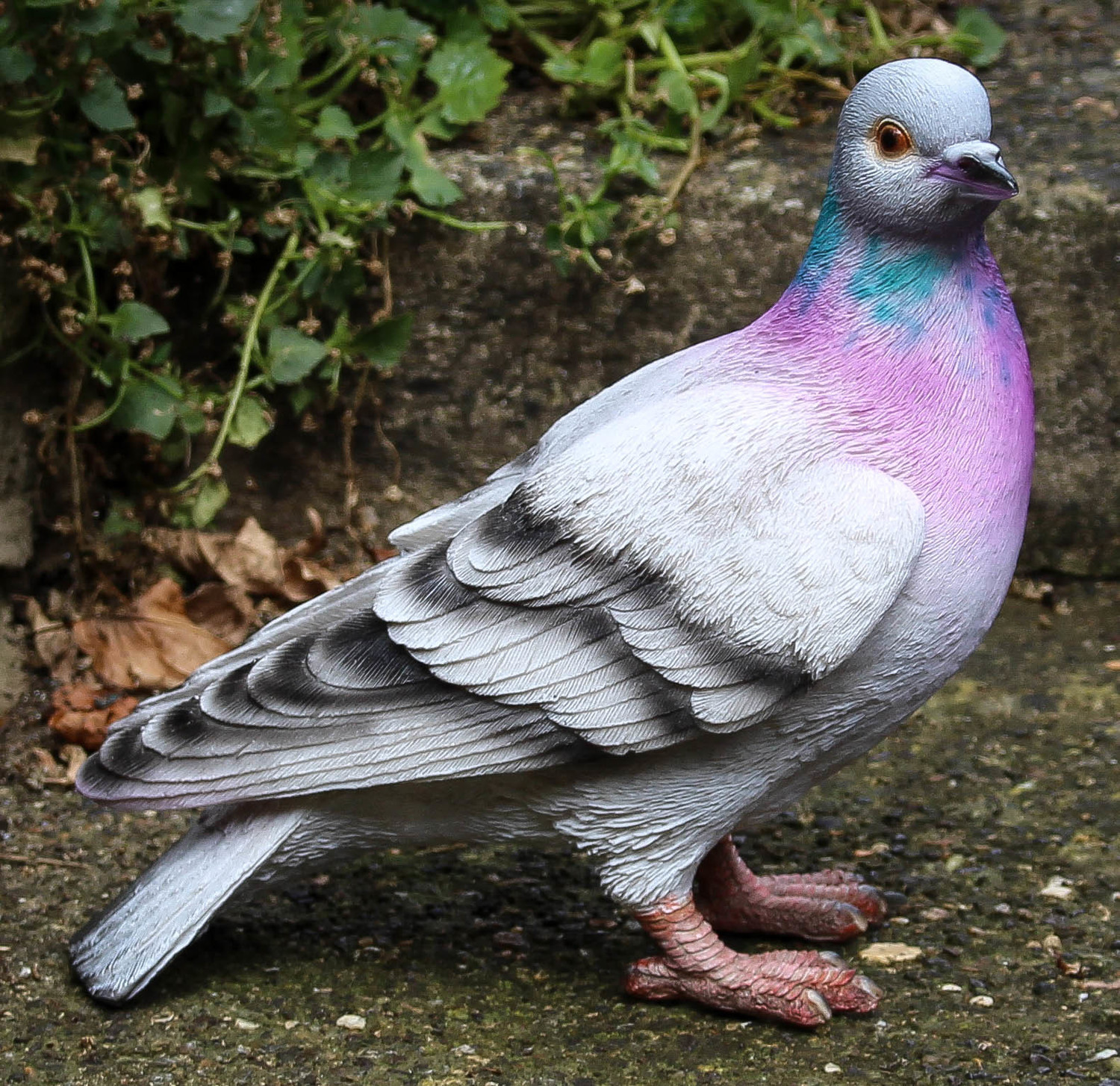 Pigeon | Paula B | Garden Ornaments Northamptonshire | Home Decor