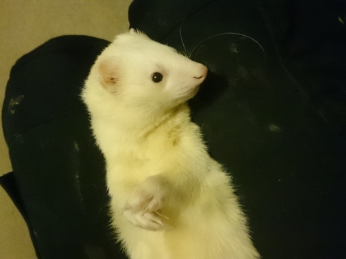 Jim