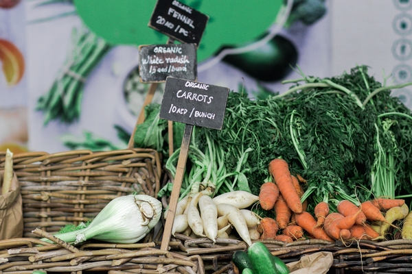 Benefit of organic food