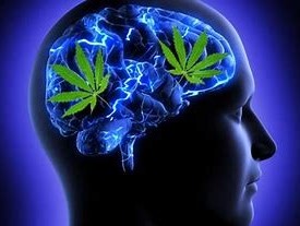 Cannabis and mental health